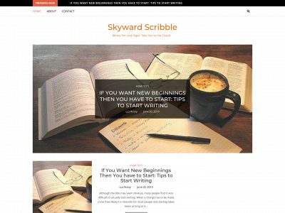 skywardscribble.com snapshot