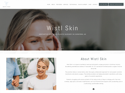 wistlskin.com snapshot