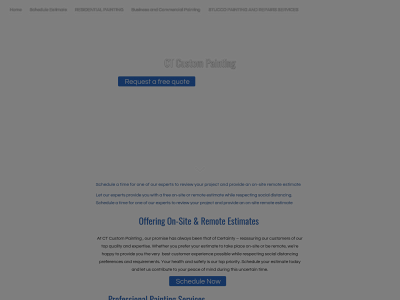 ctcustompainting.com snapshot