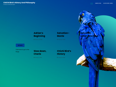 chichibirdshistory.com snapshot