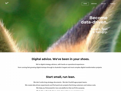 www.craftydata.com snapshot