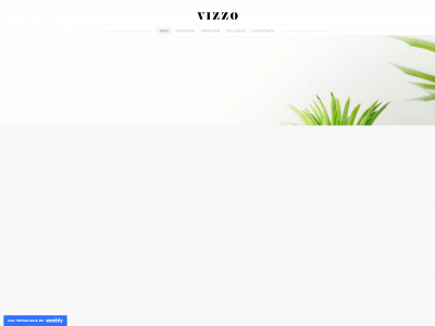 vizzoin.weebly.com snapshot