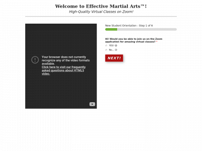 effectivemartialarts.com snapshot