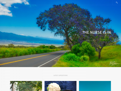 thenurseisonline.com snapshot