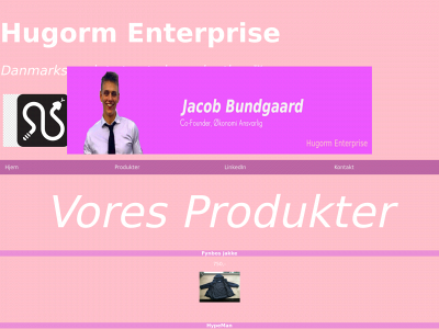 3hurtige.dk snapshot