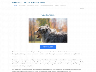 jeanbarrett.weebly.com snapshot