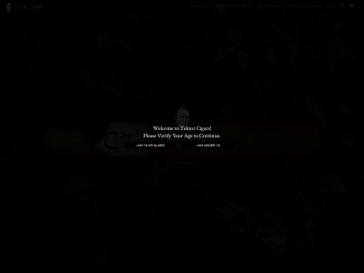 tektorcigars.se snapshot