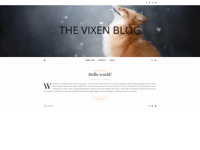 alevixen.com snapshot