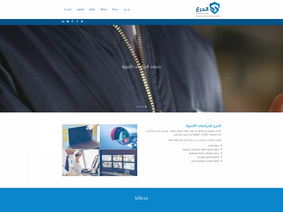 aldirea.com snapshot