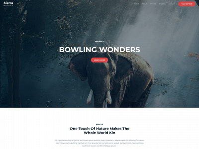 bowlingwonders.com snapshot