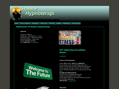 hamarhypnoterapi.no snapshot