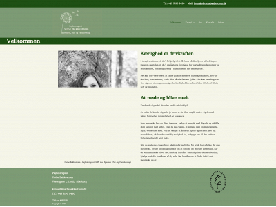 cathebakkestrom.dk snapshot