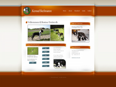 boston-terrier.dk snapshot