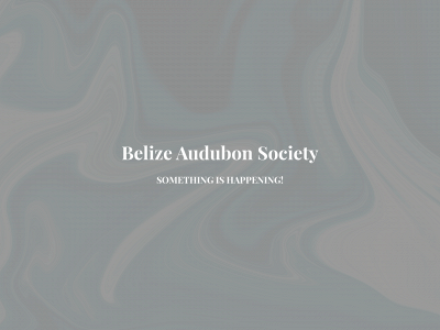 belizeaudubon.org snapshot