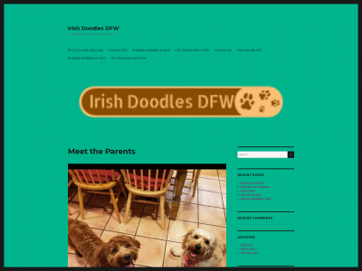 irishdoodlesdfw.com snapshot