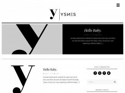 ysnes.com snapshot