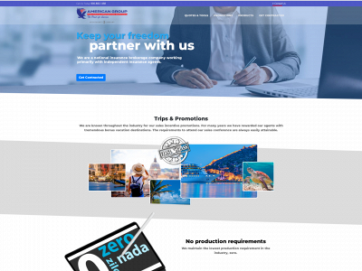 americangroupinsurance.com snapshot