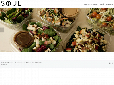yoursoulnutrition.com snapshot