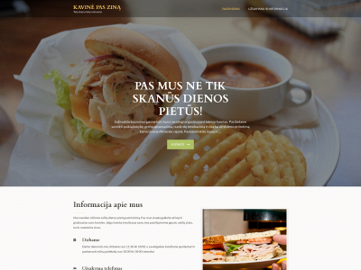 paszina.lt snapshot