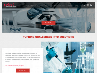 solvet.ca snapshot