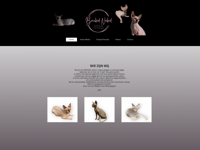 sphynxcattery-buckednaked.be snapshot