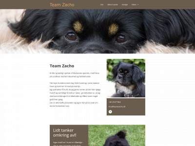 teamzacho.dk snapshot