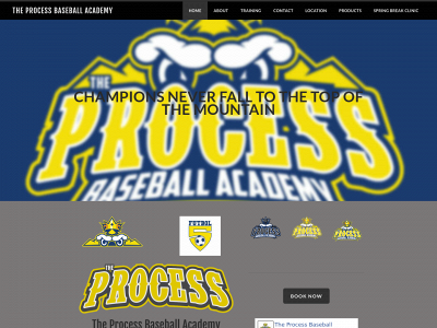 theprocessbaseballacademy.com snapshot