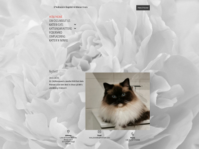 admires.se snapshot