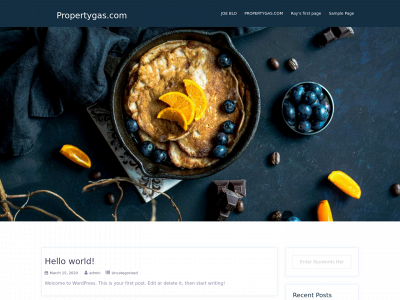 propertygas.com snapshot