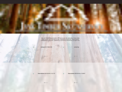 jysktimber.dk snapshot