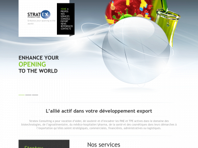 stratex.be snapshot
