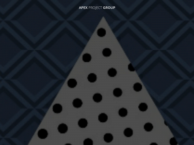 apexprojectgroup.com snapshot