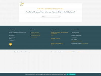 capriceconsulting.fi snapshot