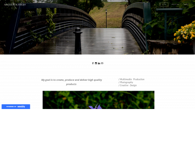 angelicatrejo816.weebly.com snapshot
