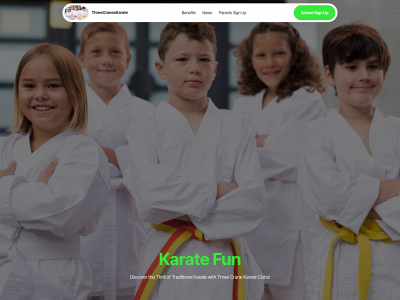 threecraneskarate.co.uk snapshot