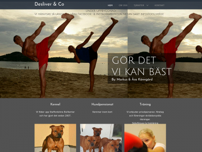 desliver.se snapshot