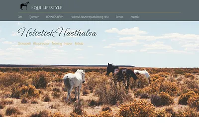 equilifestyle.se snapshot