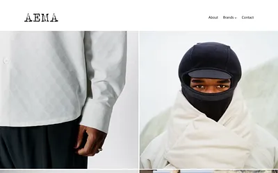 aema-agency.dk snapshot