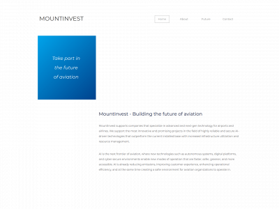 mountinvestgrp.com snapshot