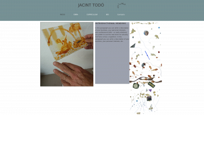 jacinttodo.com snapshot