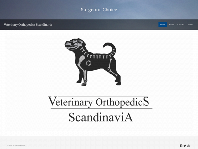 voscandinavia.com snapshot