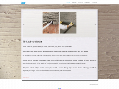 tinkavimo-paslaugos.lt snapshot