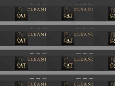 cat-cleaning.nl snapshot