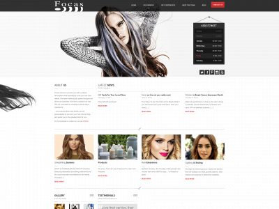 focassalon.com snapshot