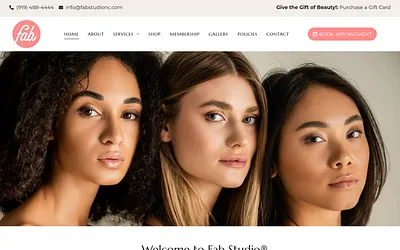 fab-aesthetics.com snapshot
