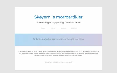 skoyern.as snapshot