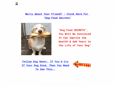 healthdogfood.weebly.com snapshot