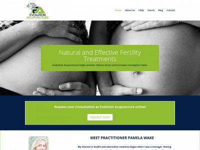 evolutionacupuncturephoenix.com snapshot