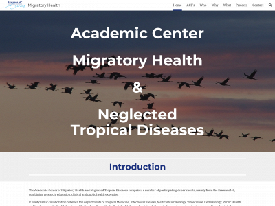 migratoryhealth.nl snapshot