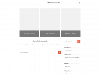 nilgununmutfagi.com snapshot